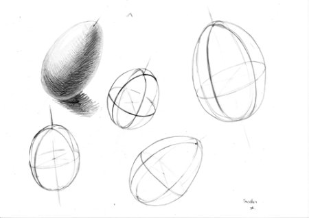 Построение яйца