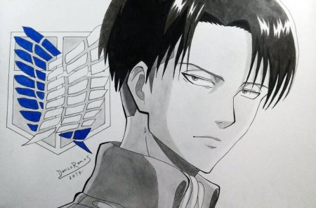 Капитан Леви для срисовки