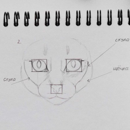 Инструкция по рисованию