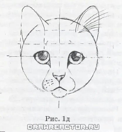 Поэтапное рисование морды кошки