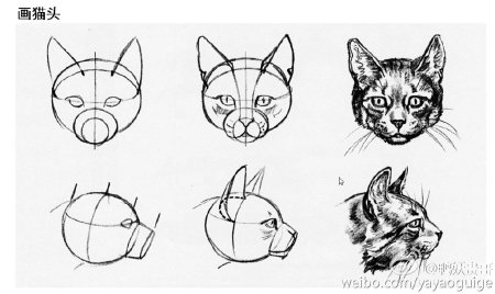 Морда кошки сбоку референс