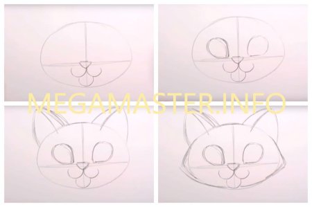 Поэтапное рисование морды кота