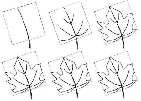 Берёза поэтапное рисование