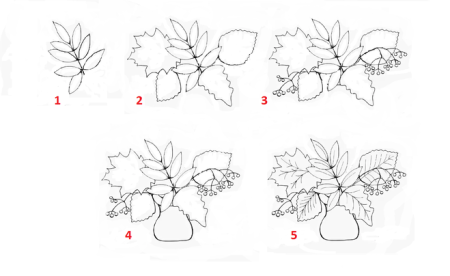 Уроки рисования грибы
