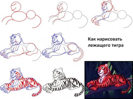Рисунок тигра пошагово