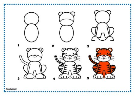 Рисунок тигра пошагово карандашом