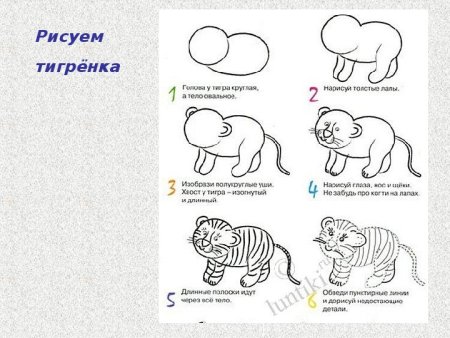 Рисование с детьми тигра