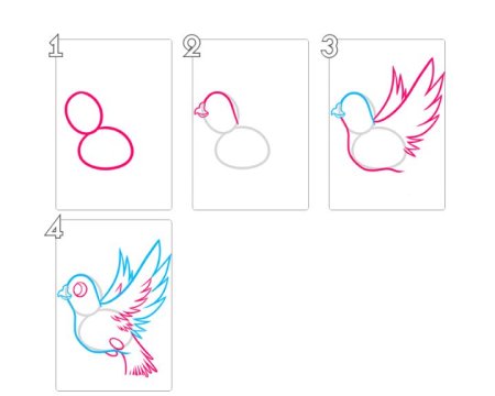 Голубь поэтапное рисование для детей