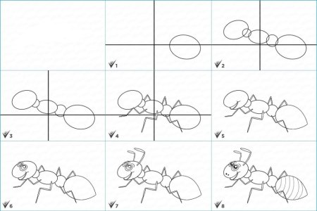 Муравей рисунок 1 класс