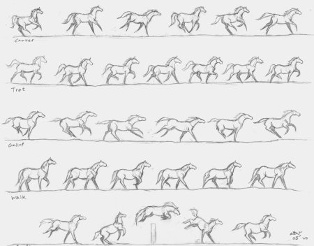 Бег лошади референс