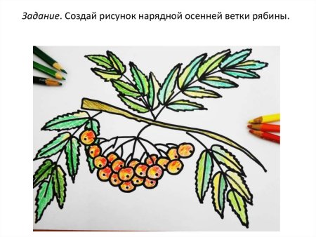 Рисунок ветка рябины осенью