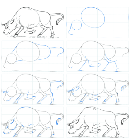 Поэтапное рисование быка