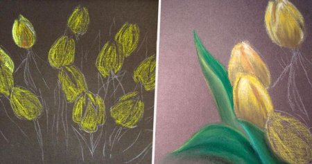 Тюльпаны масляной пастелью пошагово