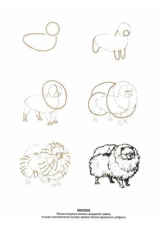 Ли Эймис "рисуем 50 собак"