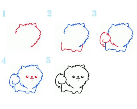 Шпиц рисунок поэтапно