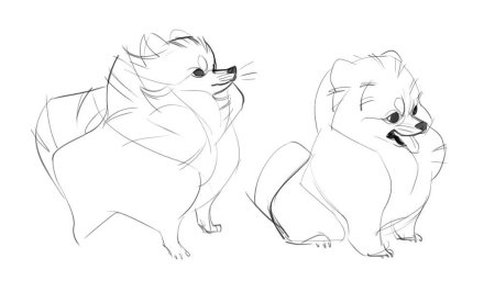 Животные для срисовки карандашом легко