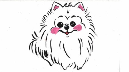 Рисунок шпица для детей легко