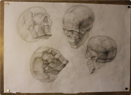 Череп Академический рисунок