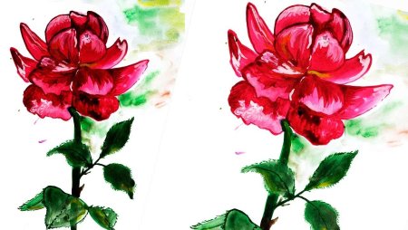 Рисунки цветов