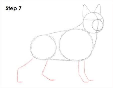 Последовательное рисование животных собака