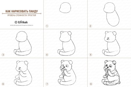 Как рисовать панду поэтапно