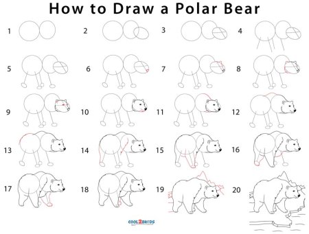 Рисование медведя