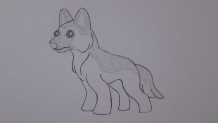 Немецкая овчарка контур рисунок карандашом