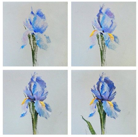 Цветы пастелью для начинающих