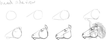 Как рисовать лошадь