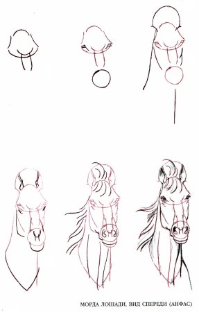 Схемы рисования карандашом для начинающих