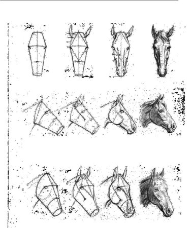 Голова лошади поэтапно рисунок (48 фото)