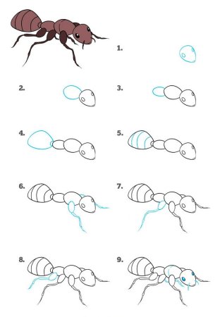 Как рисовать муравья