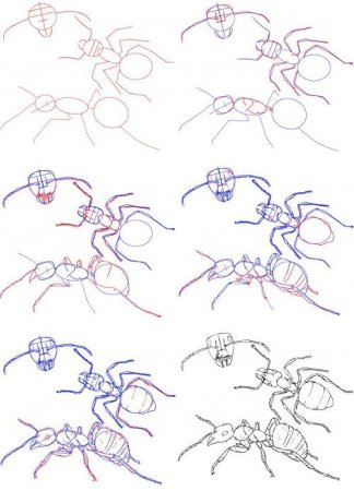 Человек муравей рисовать