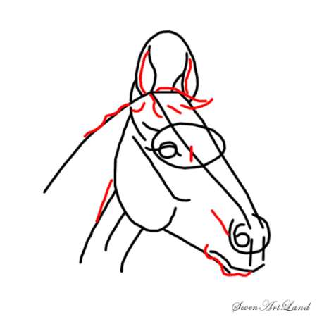 Очень легкий рисунок лошади