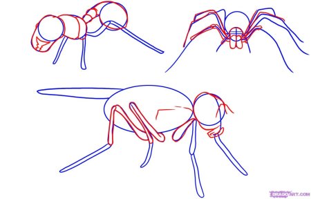 Человек Оса рисовать