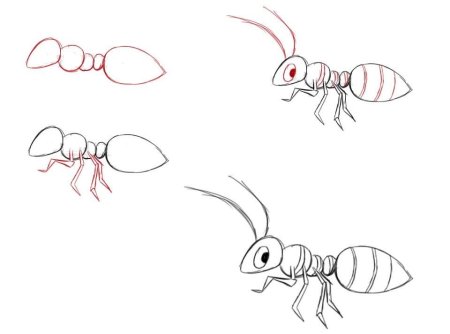 Поэтапное рисование муравья