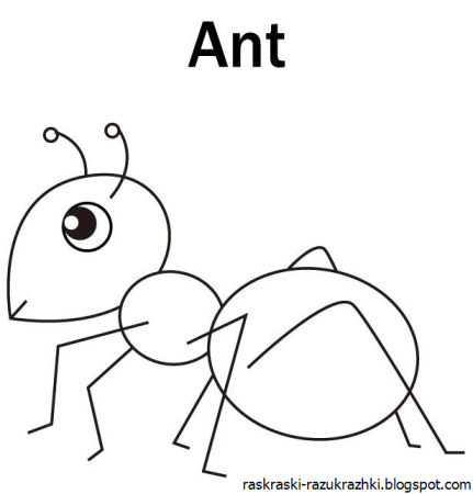 Муравей рисунок карандашом