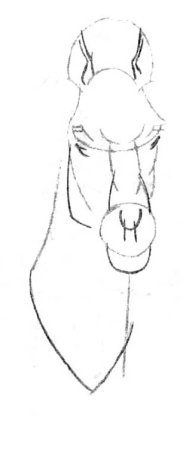 Конёк-горбунок рисоват