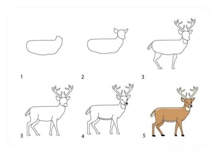 Рисование оленя поэтапно