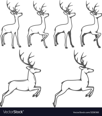 Пошаговое рисование оленя