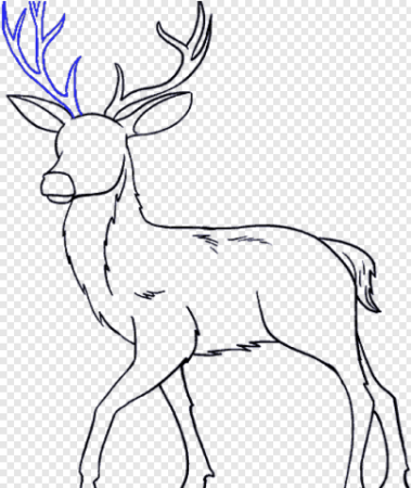 Нарисовать оленя