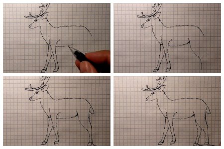 Рисунок оленя по частям
