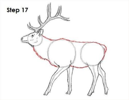 Как нарисовать лося