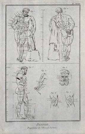 Рисунок гипсовой фигуры Геракла