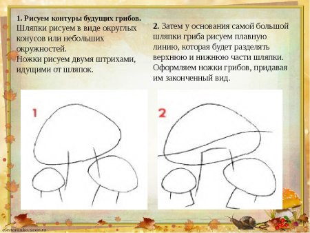Поэтапное рисование гриба