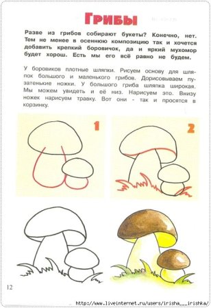 Поэтапное рисование гриба