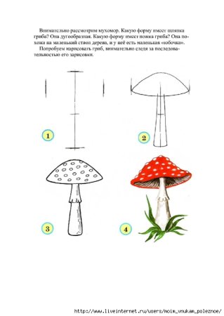 Мухомор поэтапное рисование