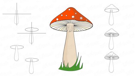 Поэтапное рисование гриба