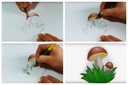 Рисование грибы карандашом
