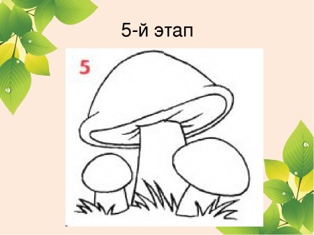 Грибы карандашом